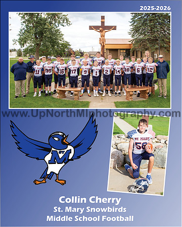 Collin Cherry MS memory mate