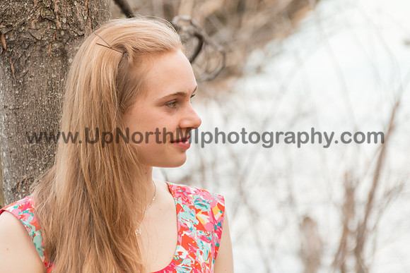 UNMP_2340_2015