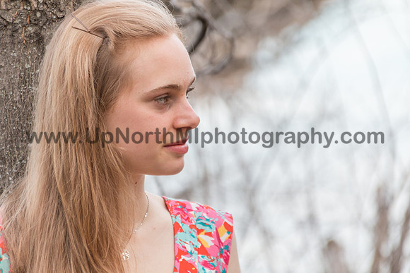 UNMP_2341_2015