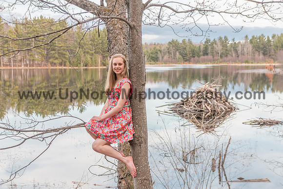 UNMP_2441_2015