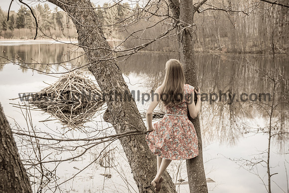 UNMP_2516_2015-2