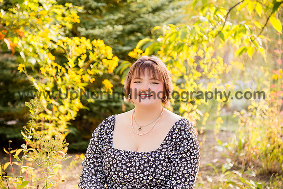 UNMP_0206_1475_2022