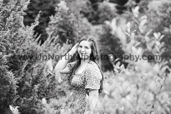UNMP_009_5064_2026