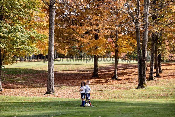 UNMP_016_0258_2015
