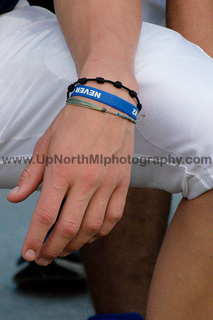 UNMP_0010_5561_2016