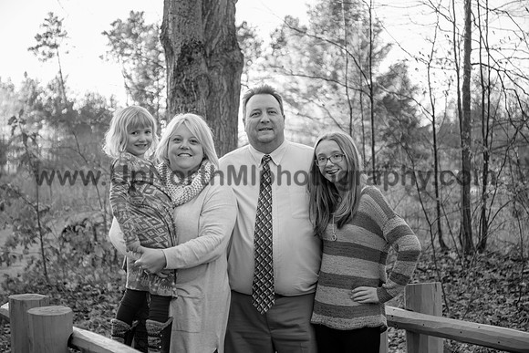 UNMP_0004_3534_2017