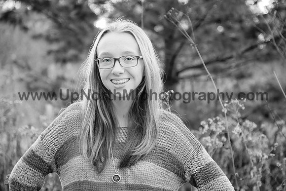 UNMP_0010_3553_2017