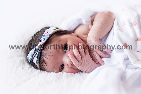 IMG_6716