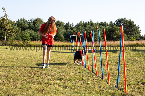 UNMP_0010_1905_2024