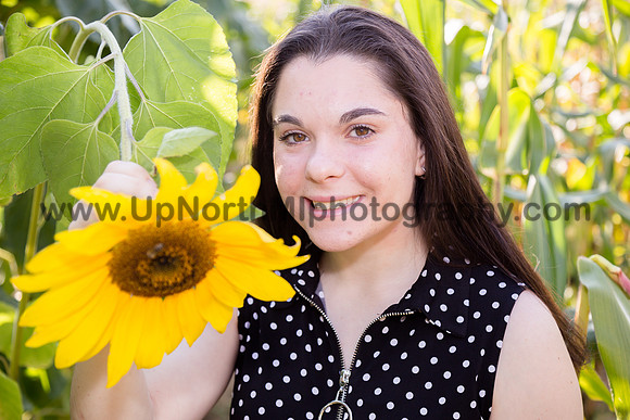 UNMP_0013_0463_2021
