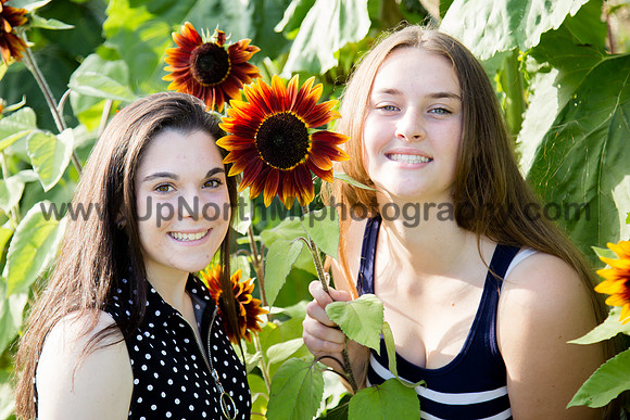 UNMP_0033_0527_2021