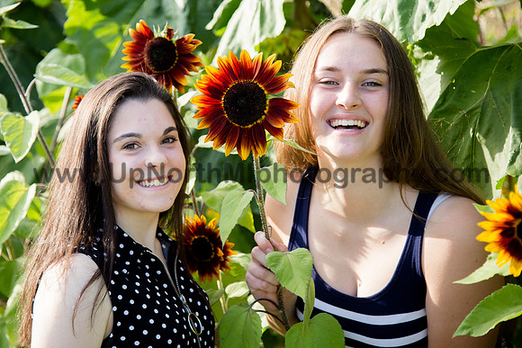 UNMP_0034_0528_2021