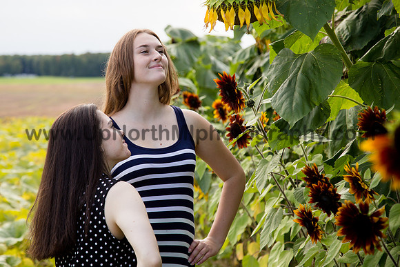 UNMP_0038_0532_2021