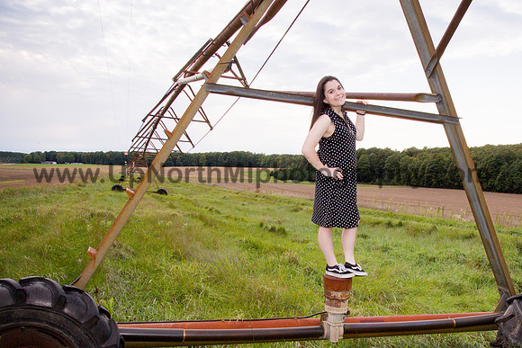 UNMP_0062_0576_2021