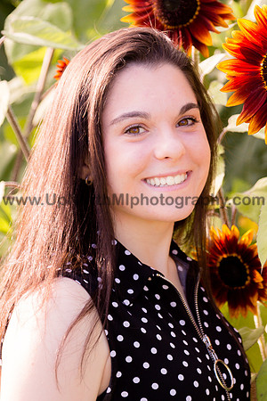 UNMP_0012_0528_2021