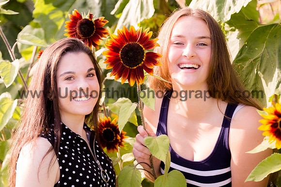 UNMP_0011_0528_2021
