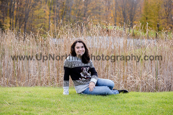 UNMP_0101_3368_2021