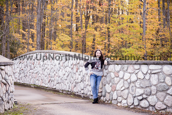 UNMP_0114_3391_2021