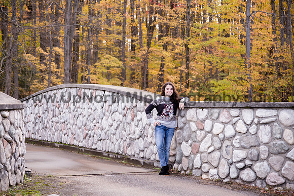 UNMP_0113_3390_2021