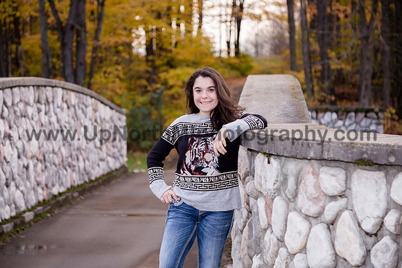 UNMP_0116_3397_2021