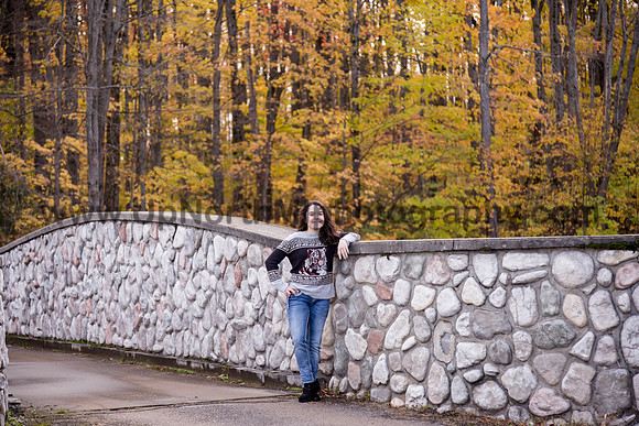 UNMP_0115_3392_2021