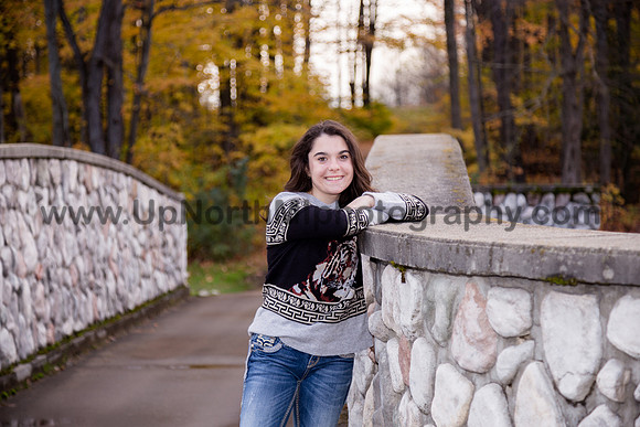 UNMP_0118_3399_2021