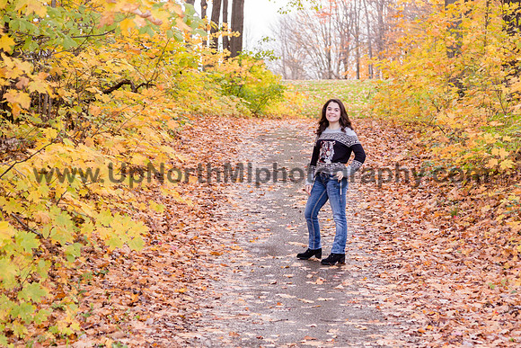 UNMP_0160_3468_2021