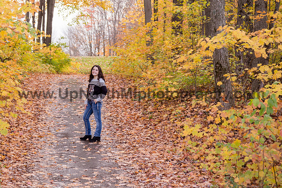 UNMP_0161_3471_2021