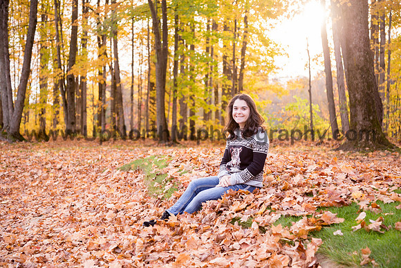 UNMP_0163_3480_2021