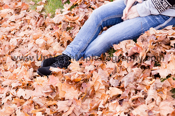 UNMP_0166_3486_2021
