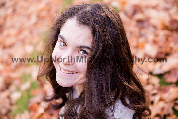 UNMP_0173_3502_2021