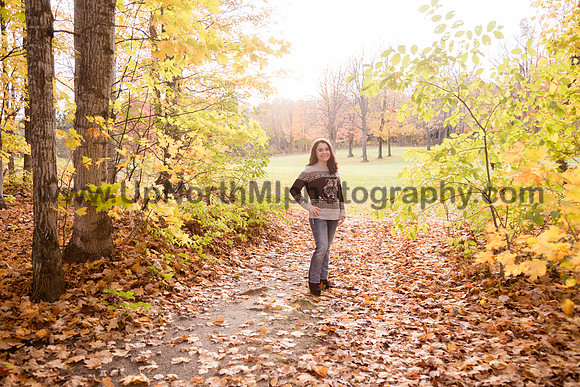 UNMP_0176_3524_2021