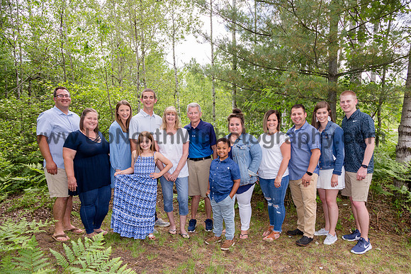 UNMP_0009_5462_2019