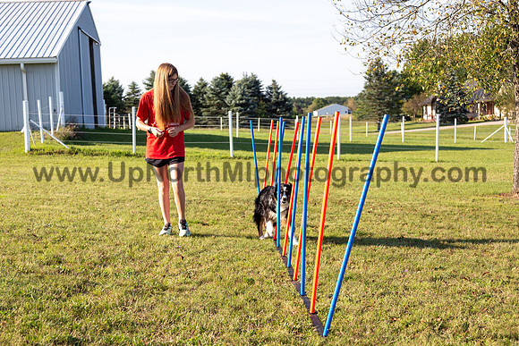 UNMP_0018_1919_2024