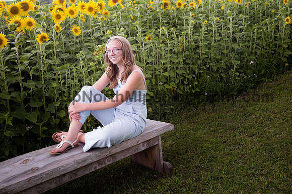 UNMP_002_8038_2020