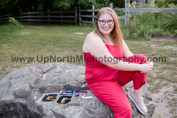 UNMP_026_9118_2020