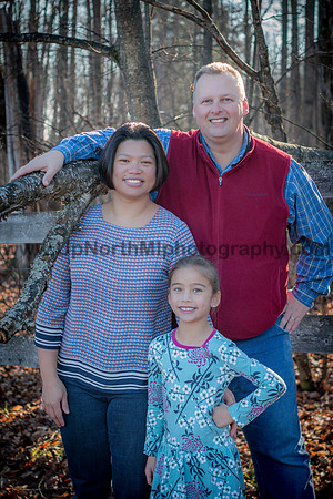 UNMP_003_2977_2015