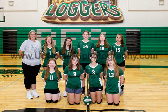 JV