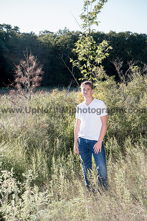 UNMP_0041_3278_2016