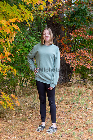UNMP_0001_3306_2024
