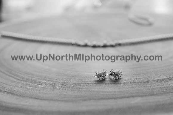 UNMP_0014_1682_2019